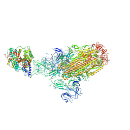 BU of 8xlm by Molmil