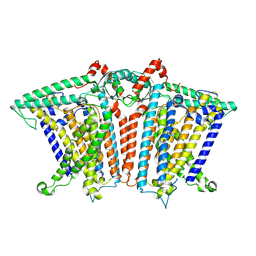 BU of 8xng by Molmil