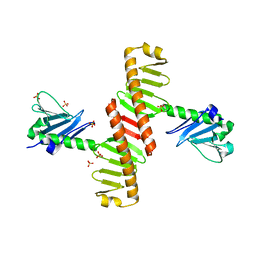 BU of 8xpg by Molmil