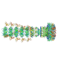 BU of 8xpm by Molmil