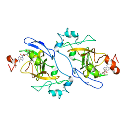 BU of 8xpt by Molmil