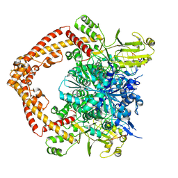 BU of 8xrf by Molmil