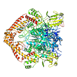 BU of 8xri by Molmil