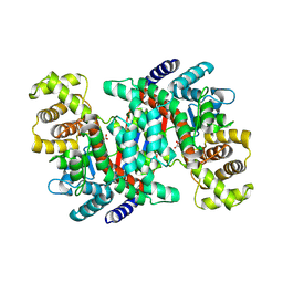 BU of 8xu1 by Molmil