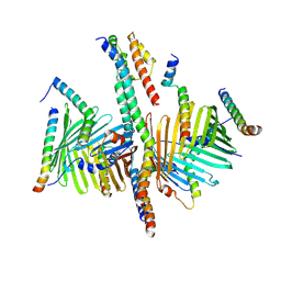 BU of 8xva by Molmil