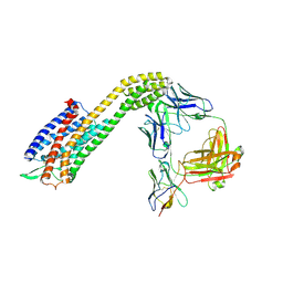 AU of 8xvl by Molmil