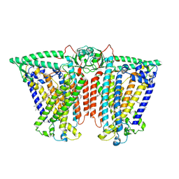 BU of 8xw0 by Molmil