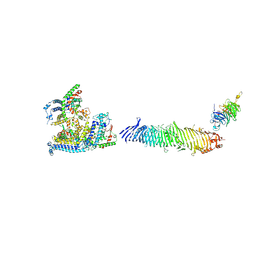 BU of 8y1l by Molmil