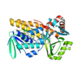 BU of 8y2s by Molmil