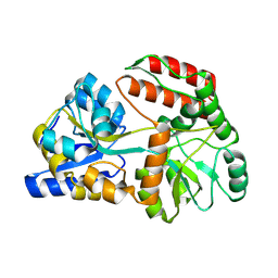 BU of 8ybe by Molmil