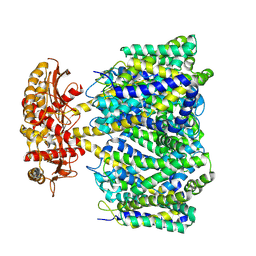 BU of 8ybr by Molmil