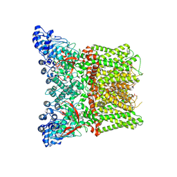 BU of 8ycp by Molmil