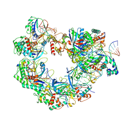 BU of 8ydb by Molmil