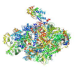 BU of 8yfr by Molmil