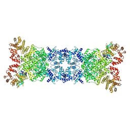 AU of 8yl5 by Molmil