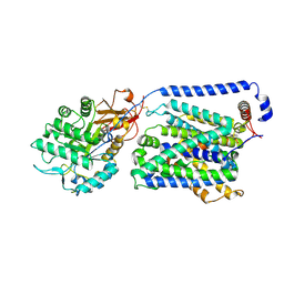 BU of 8ylp by Molmil
