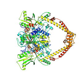 BU of 8ylu by Molmil