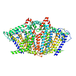 BU of 8ymm by Molmil