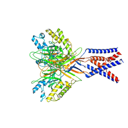 BU of 8yms by Molmil