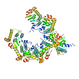 BU of 8ypa by Molmil