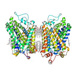 BU of 8yr2 by Molmil