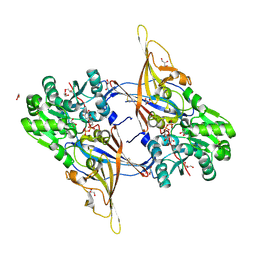 BU of 8yrl by Molmil