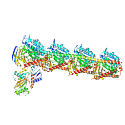 BU of 8ytx by Molmil