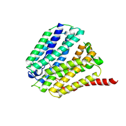 BU of 8z80 by Molmil