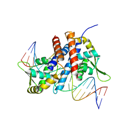 BU of 8zde by Molmil