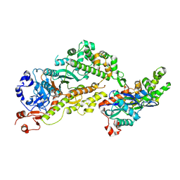 BU of 8ziu by Molmil
