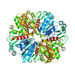 BU of 8zn1 by Molmil