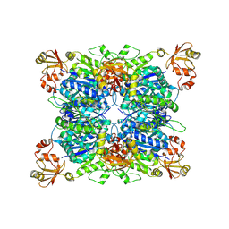 BU of 8zpr by Molmil