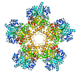 BU of 8zrl by Molmil