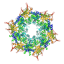 BU of 8zrs by Molmil