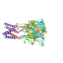 BU of 8zt5 by Molmil