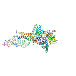 BU of 8zyc by Molmil