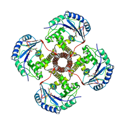 BU of 9asc by Molmil