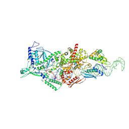 BU of 9asm by Molmil