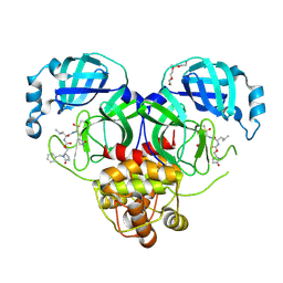 BU of 9asv by Molmil