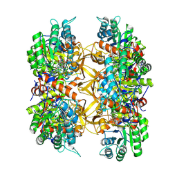 BU of 9auv by Molmil