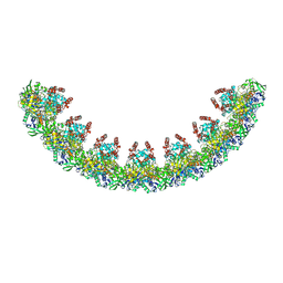 BU of 9axe by Molmil