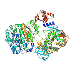 BU of 9b5x by Molmil