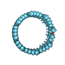 BU of 9bac by Molmil