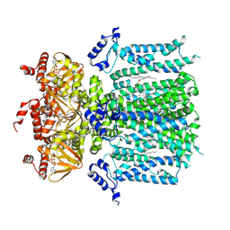 BU of 9bc7 by Molmil