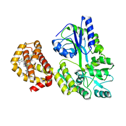 BU of 9bcg by Molmil