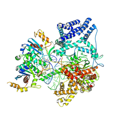 BU of 9bdd by Molmil