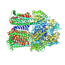 BU of 9bfn by Molmil