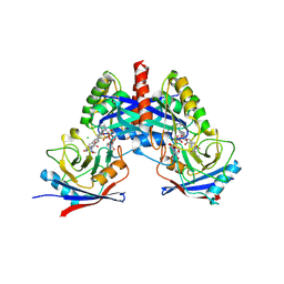 BU of 9bg4 by Molmil