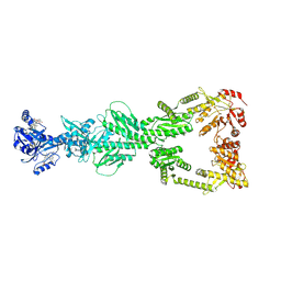 BU of 9bgv by Molmil