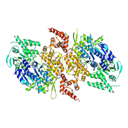 BU of 9bha by Molmil